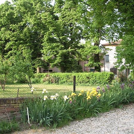 Agriturismo Antica Corte Cason Ronco allʼAdige Exterior foto